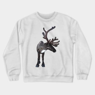 Santa Claus Reindeer Crewneck Sweatshirt